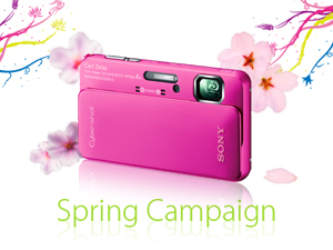 VIP Member Spring Campaign