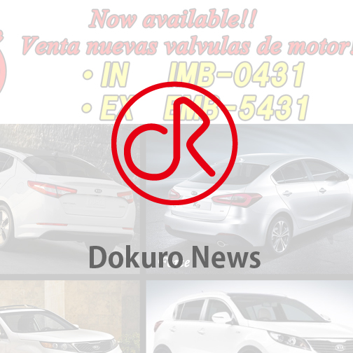 Dokuro News