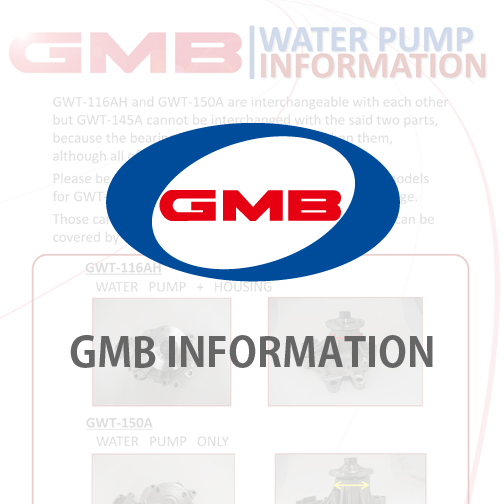 GMB INFORMATION