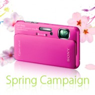 VIP Member Spring Campaign